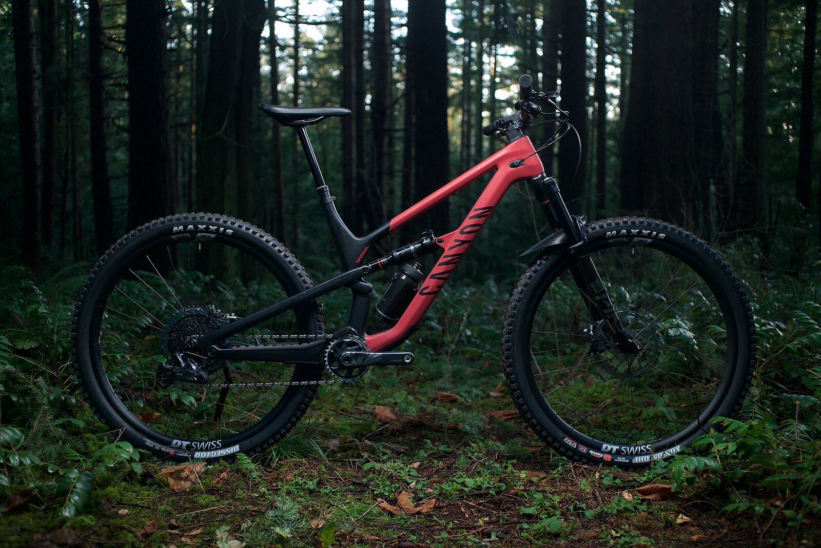 Canyon bikes shop review